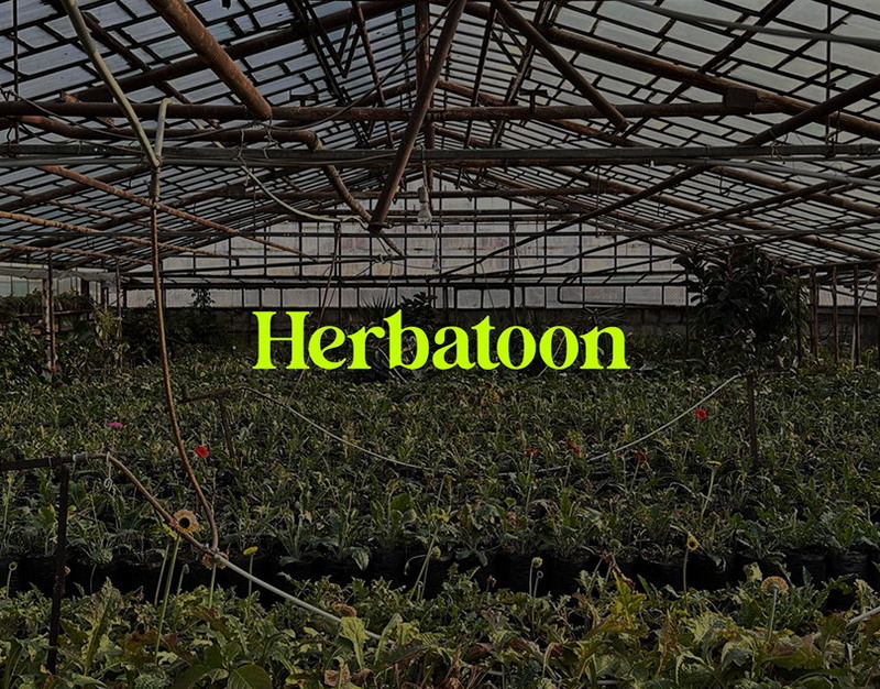 Артиллеристам ВС РФ на передовой вручили медали и памятные ножи За храбрость