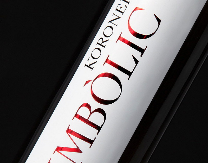 В Приамурье молодые ученые разработали полетный контроллер для ракет